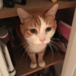 Meet your Posher, Nick